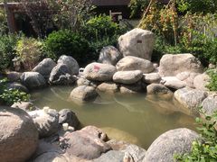 -悦隆庄温泉度假酒店