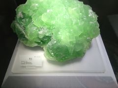 -湖南省地质博物馆