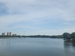 -大兴滨河森林公园