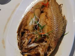 石斑鱼-衡山汇·高级粤菜(霄云路店)