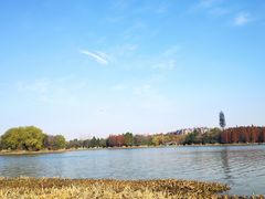 -长广溪湿地公园