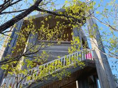 -帽儿山国家森林公园