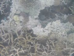 -蓝湾海滩