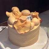 它们家每一款的颜值都正中我心❗️