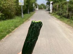 -菊园百果园