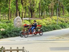 -石家庄市植物园