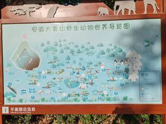 -安徽大青山野生动物世界