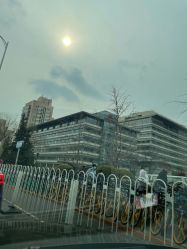 -北京新世纪儿童医院