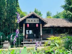 -八卦田遗址公园