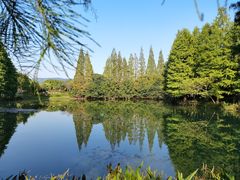 -尚湖风景区