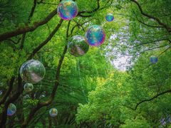 -上海共青森林公园