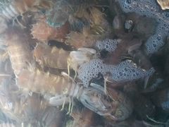 android_upload_pic-黄沙码头