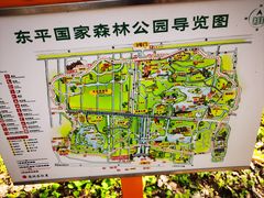 -东平国家森林公园