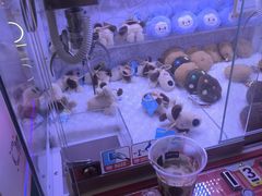 -小象猛犸(炫地购物中心店)