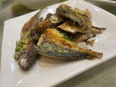 -阳江餐厅·30年老字号·粤菜海鲜大排档