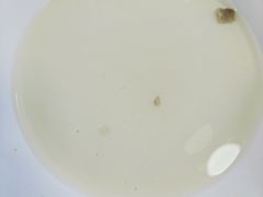 -马姐爆肚儿门丁肉饼