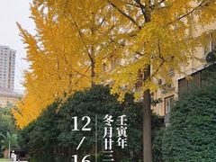 -上海汾阳花园酒店