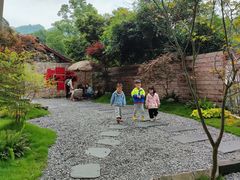 -竹野·上|老字号全竹宴