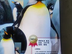 -杭州长乔极地海洋公园