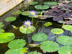 -国家植物园南园