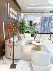 -洁铭新加坡医美