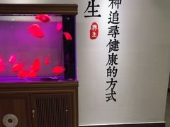 -金蚁康•经络调理•肩颈按摩(万达金街店)