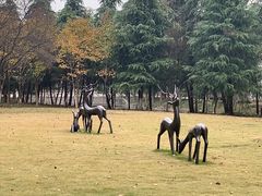 -南京信息职业技术学院-1食堂