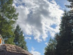 -汤旺河林海奇石景区