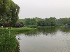 -郑州植物园