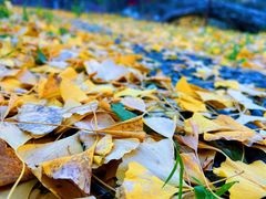-阳台山自然风景区