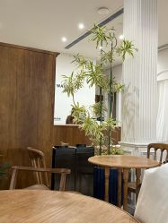 -WAVE SODA摄影工作室