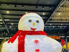 -宁波冰雪大世界(北仑区)