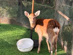 -拾溪餐厅(杭州千禧度假酒店)