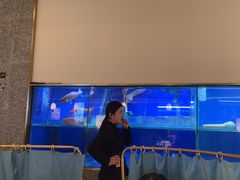-顺峰顺水顺德菜(第一百货店)