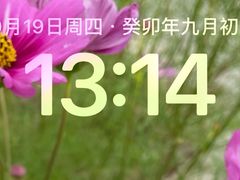 -海底捞火锅(新松江路生日主题店)