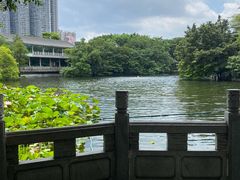 -荔湾湖公园