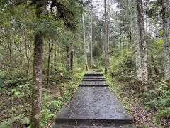 -汤旺河林海奇石景区
