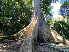 -中国科学院西双版纳热带植物园