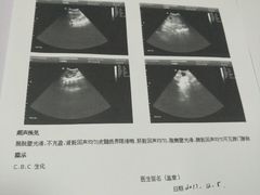 -中农大我爱我爱24h动物医院·中医针灸·猫专科·骨科医疗中心(双井店)