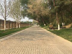 -北京张裕爱斐堡酒庄