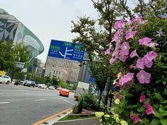 -新世界百货(明洞总店)