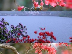 -永州阳明山国家森林公园