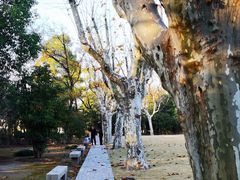 -上海市龙华烈士陵园