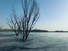 -绿堤公园