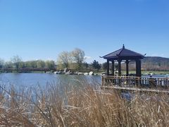 -羊亭河湿地公园