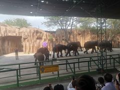 -是拉差龙虎园(Permanently closed)