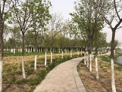 -天津东丽湖风景区