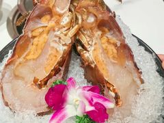-海月轩海鲜豆捞(紫金塔店)