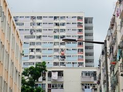 -彩虹村