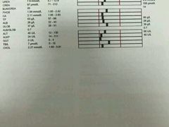 -达爱动物医院·犬猫分区·CT·复杂眼科(远洋山水分院)